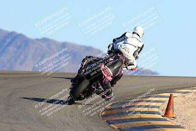 media/Jan-09-2022-SoCal Trackdays (Sun) [[2b1fec8404]]/Turn 12 Backside (130pm)/